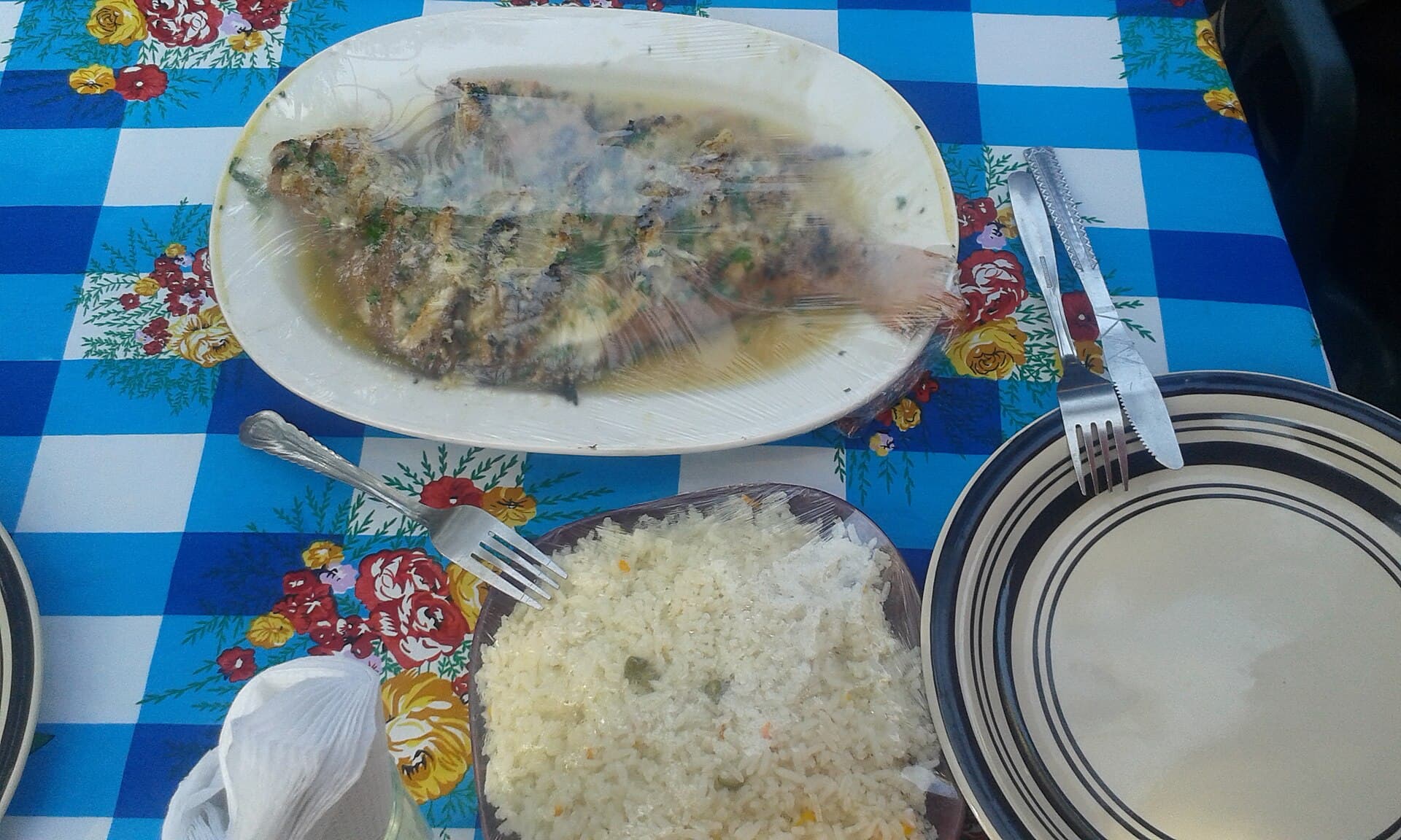 Peixe Vermelha com Xima