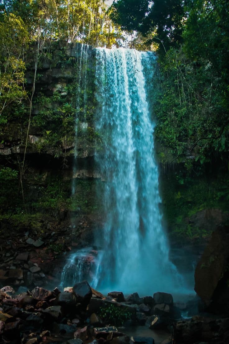 Rondônia for First-Time Visitors: A Practical Travel Guide
